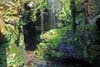 Amselfall