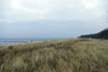 Kühlungsborn - Dünen
