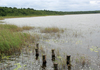 Müritz-Nationalpark - Priesterbäker See