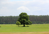 Müritz-Nationalpark - Bei Schwarzenhof