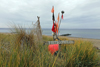 Niendorf - Am Strand