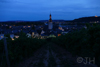 Rüdesheim - Weinberg