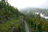 Rhein Wein Mosel - Im Weinberg