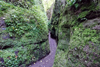 Eisenach - Drachenschlucht